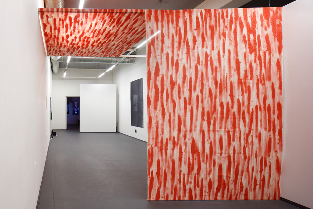 stefanreitererroxynodgallery2016